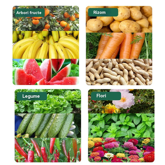 🌿🌿Îngrășământ solubil în apă cu clorofilă, îngrășământ foliar pentru flori, pomi fructiferi și legume, promovează creșterea rădăcinilor, creșterea răsadurilor și crește randamentul. Îngrășământ agricol solubil în apă.