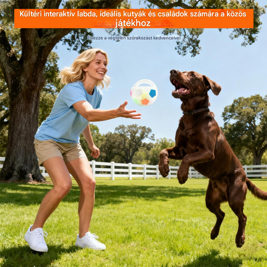 ⚽🐕Vásárolj egyet, kapsz egyet ingyen🔥Kutyajáték - focilabda, interaktív harapásbiztos kiegészítő, border collie-knak, labradoroknak és corgi kutyáknak.
