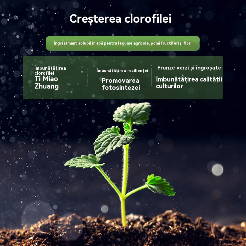 🌿🌿Îngrășământ solubil în apă cu clorofilă, îngrășământ foliar pentru flori, pomi fructiferi și legume, promovează creșterea rădăcinilor, creșterea răsadurilor și crește randamentul. Îngrășământ agricol solubil în apă.